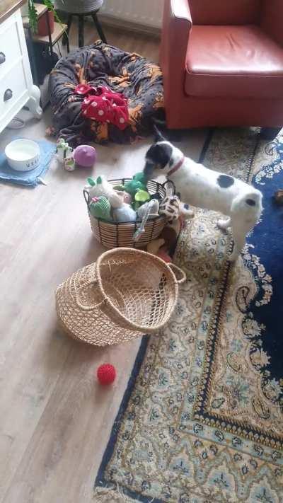 Wessel does not like it when I put away his toys