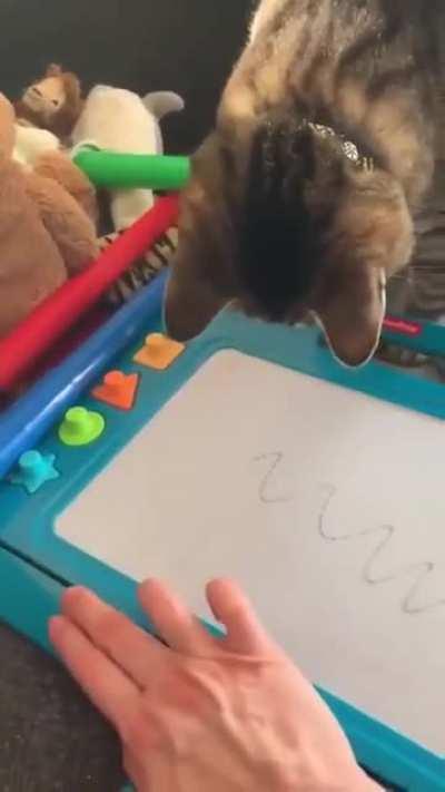 Magnets, how do they work?