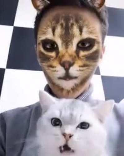 Eu amo esse vídeos 🤗