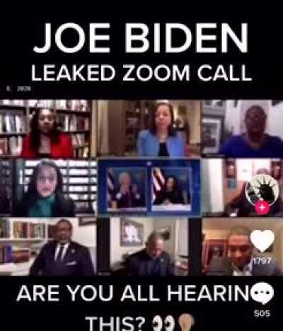 Joe Biden: “This country is doomed.. it’s doomed. Not just because of African Americans, but because by 2040 this country is going to be minority white European.”