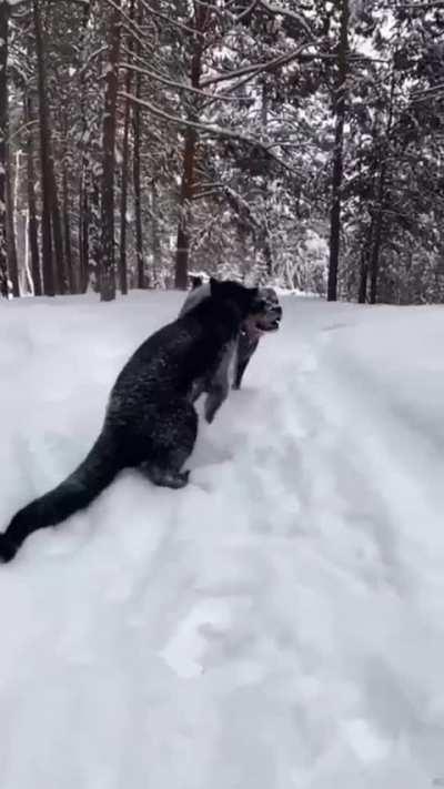 Best Friends For Life amazing