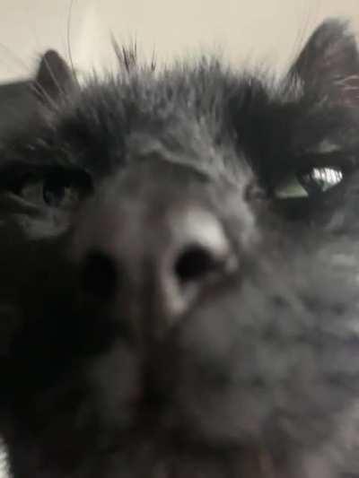 thought you might like this