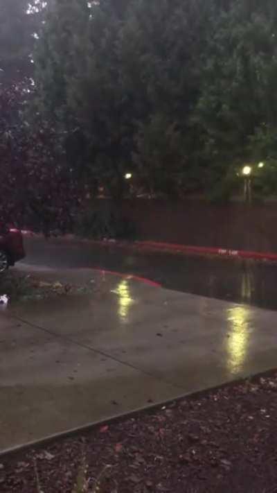 Good Morning from Vancouver Wa