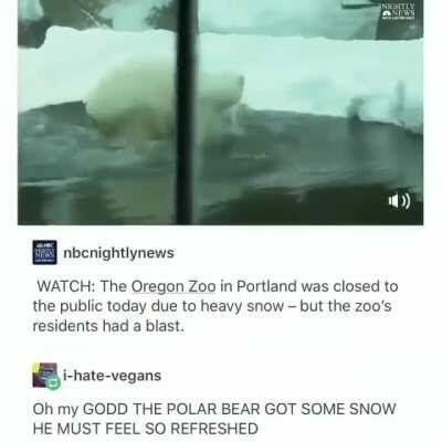 Zoo Animals - Fun in the Snow