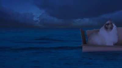 [OC] My cat leads a very adventurous life.