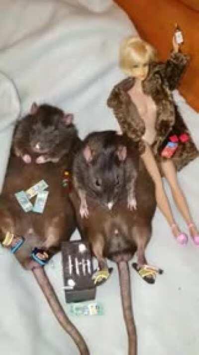 Skaven year end party.