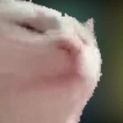 Executions: Sadness, despair - Execution songs: