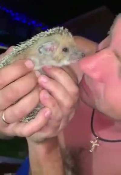 Putting a potentially dangerous animal close to your nose; getting your nose bitten