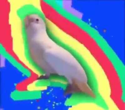 When the ambien kicks in