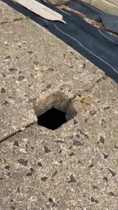 Who dares to touch my butt?!