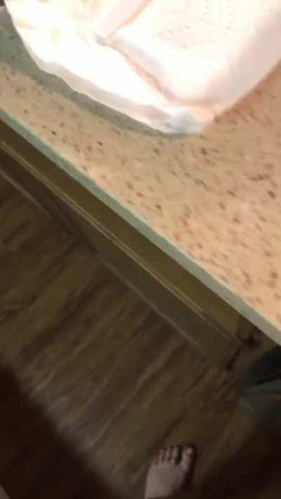 A video of my sweet girl Tala I found today. We lost her last October when a loose dog got into our house and attacked her. She was the mouthiest cat and I miss our conversations terribly. I hope she makes you smile.