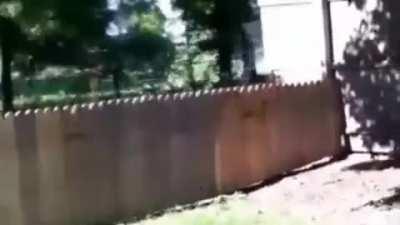 When you build a fence to keep the dog in the backyard....