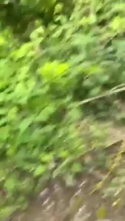 Anyone hear about this?