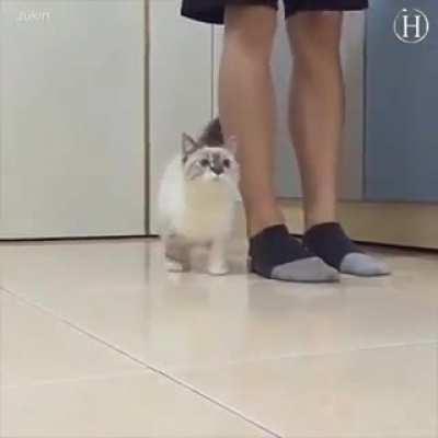 All is better with a company