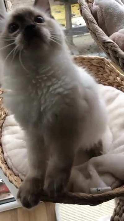 Recommended to post here 🤩