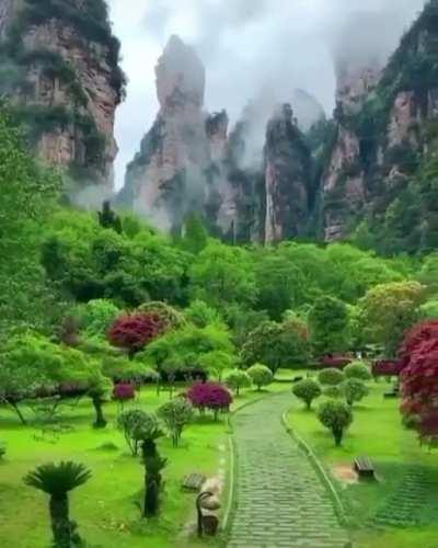 🔥 Zhangjiajie National Park, China. 🔥