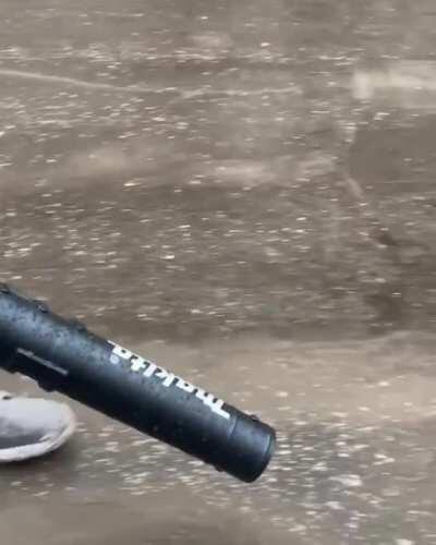 Parting The Brown Sea