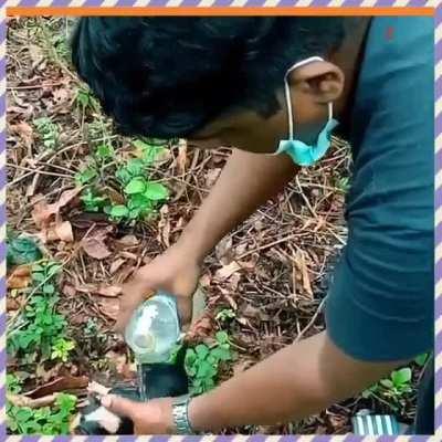 Following heavy rains at Kanjirathani, Kerala, a dog and two pups survived a minor landslide and were rescued by locals after lying covered in the mud behind a shop for three days.