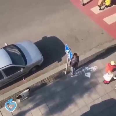 In Georgia, there's a stray dog who has made it his job to protect this kindergarten class so they can cross the street safely. He shows up every single day, even barking at cars that don't stop.