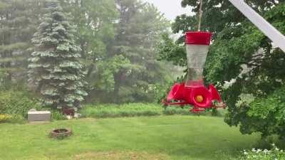Sudden downpour in Southern Maine. So relaxing.