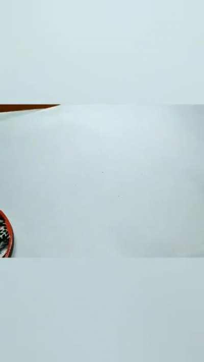 Отдыхаем на работе. Решил все в один видос впихнуть