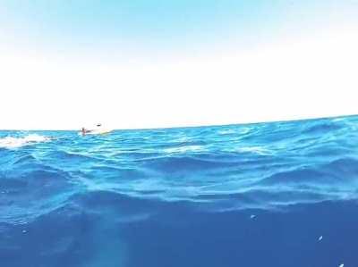 That’s some next level horror