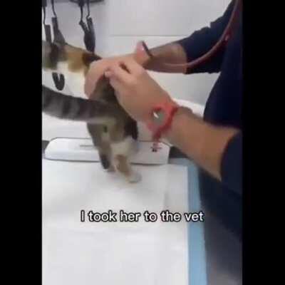 This story is so wholesome ❤️