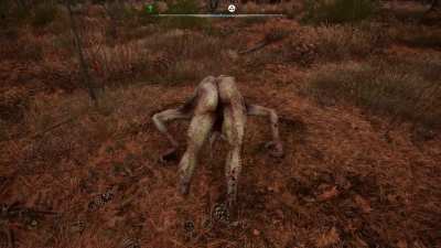 Lord, forgive me for what I'm about to do...