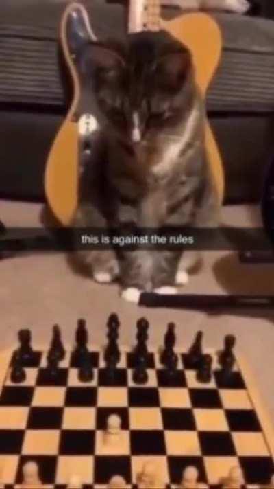 Illegal Chess move