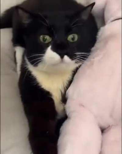 Her eating habits are adorable