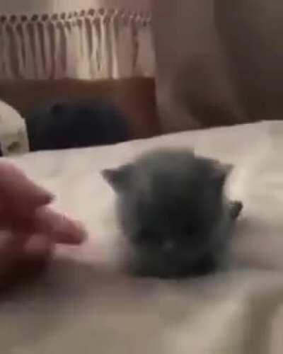 I’M IN COMPLETE LOVE❣️