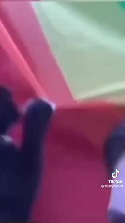 Yuumi after finding out about this subreddit