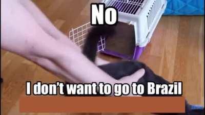 He doesn’t want to go to Brazil