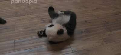 Jeannie, after recording a video