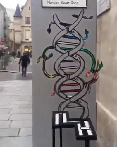 View is Changing while Perception Changes. Art by Matthieu Robert Ortis