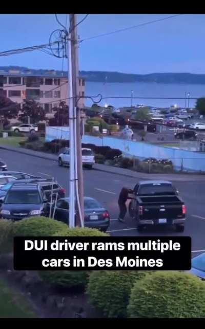 Driver Rams multiple vehicles.