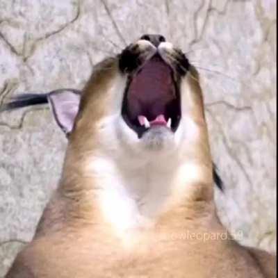 Feel like this belongs here