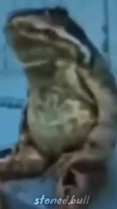 You know what time of the week it is