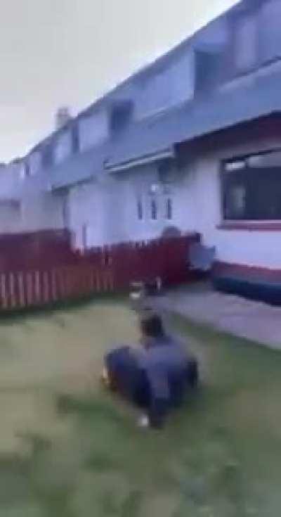 he jumped off the roof