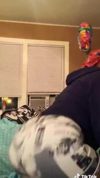 TikTok: Undercoverbooty