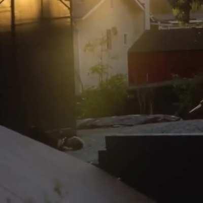 She rolls straight to the wall with a skateboard