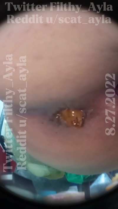 Pov as my toilet [F]