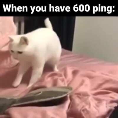 Lagging around the map