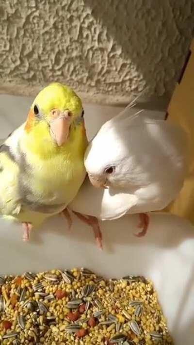 Best first date ever