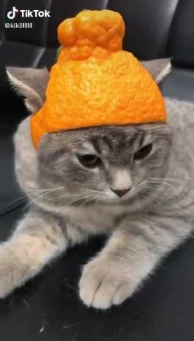 I think charmo would like this