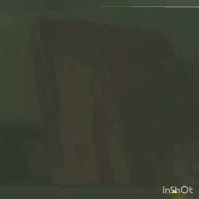 Brittneyatwood sucking roman off