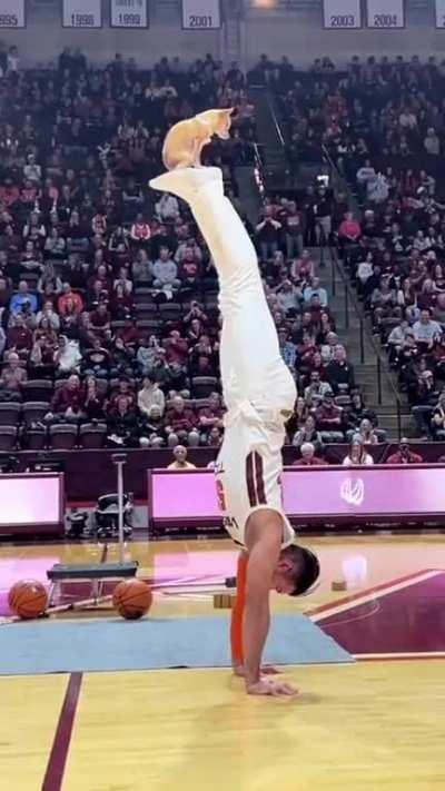 Would you do this with your pet?