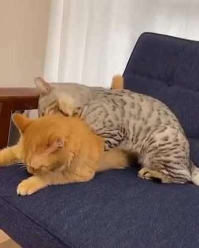 Where should I do it??