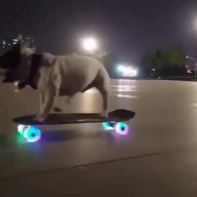 In case anyone is having a rough time, here's a doggo riding a light up skateboard