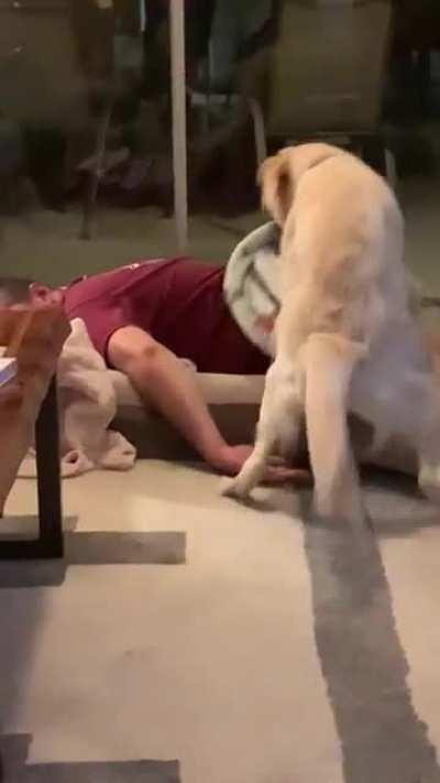 Not the action he was hoping to get last night